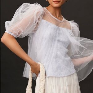 Elegant Sheer Puff Sleeve Top